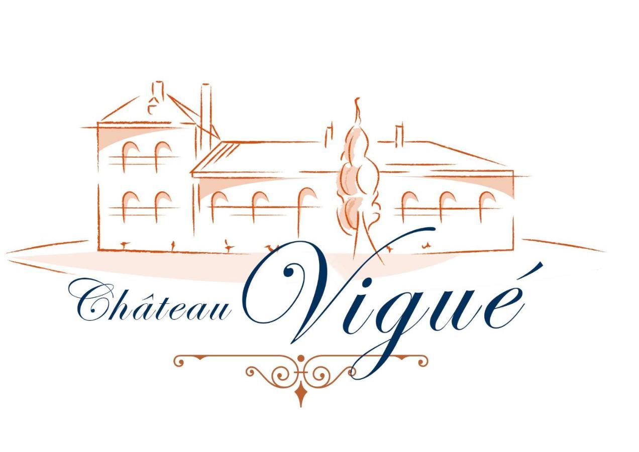 Château VIGUE Le Passage  Exterior foto